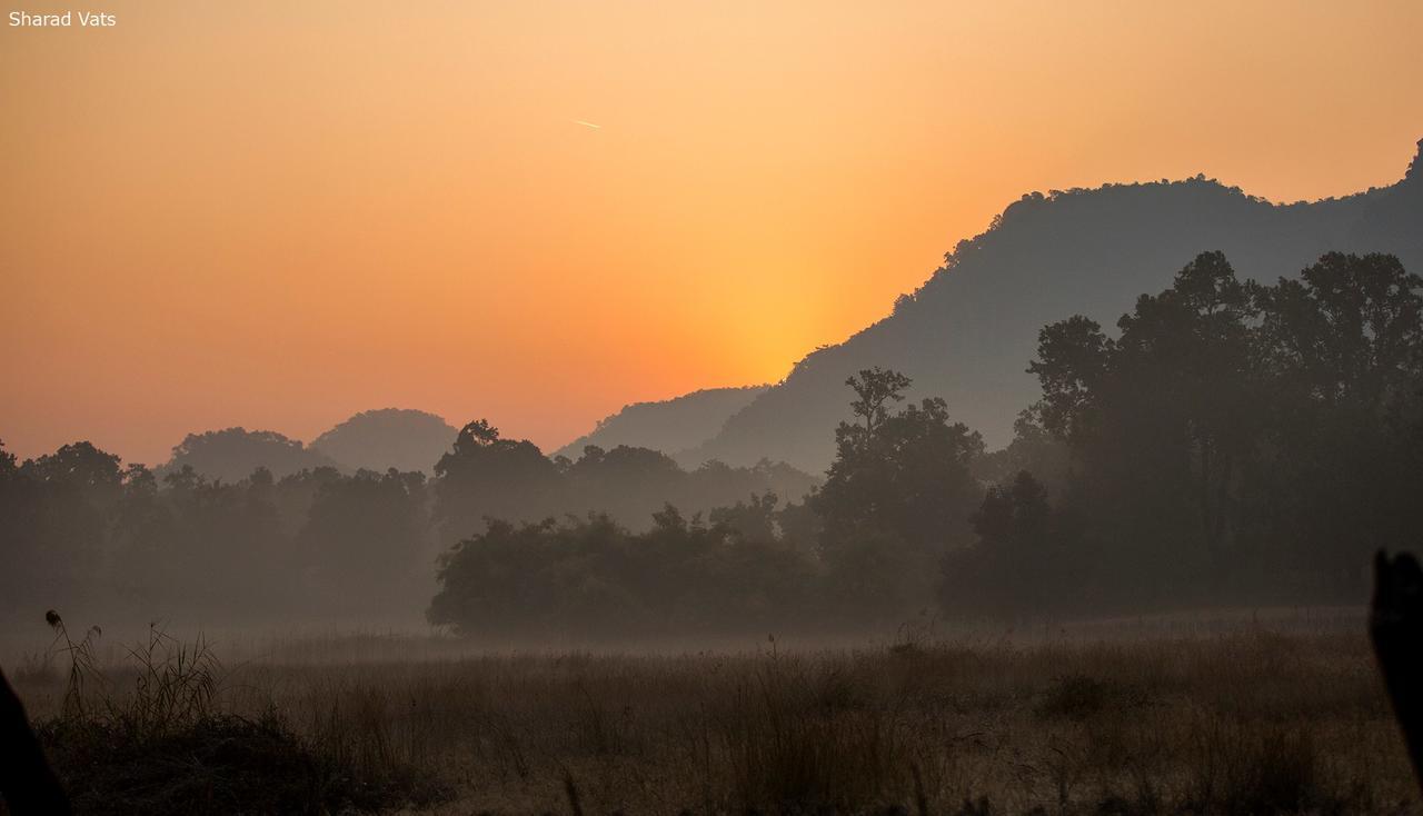 Tiger'S Den Resort Bandhavgarh National Park Екстер'єр фото